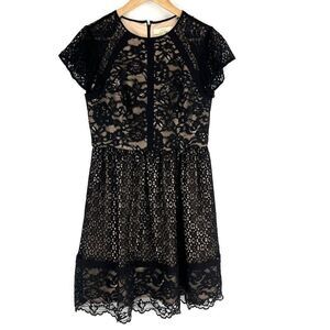 Aidan Mattox Dress Size 8 Womens Black Illusion Lace Flutter Sleeve Cocktail